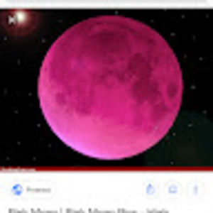 Meet your Posher, Tracie